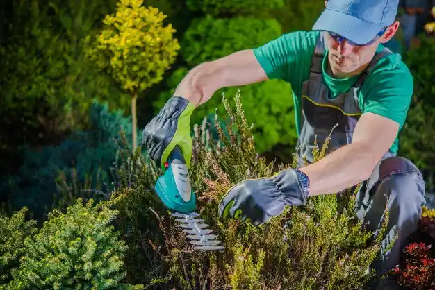 landscaping services Dellwood